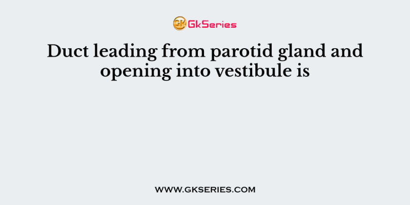 Duct leading from parotid gland and opening into vestibule is
