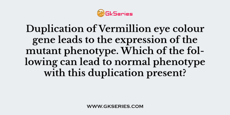 Duplication of Vermillion eye colour gene leads to the expression of the mutant phenotype. Which of the following can lead to normal phenotype with this duplication present?