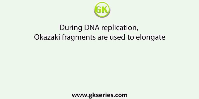 During DNA replication, Okazaki fragments are used to elongate