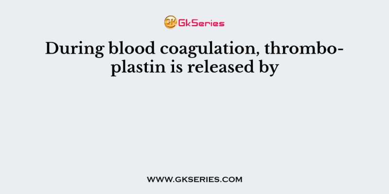 During blood coagulation, thromboplastin is released by