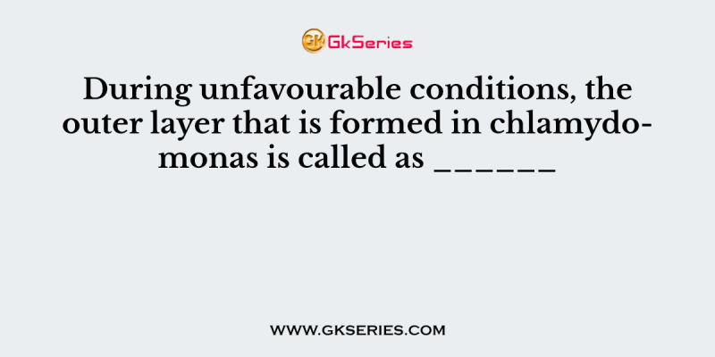 During unfavourable conditions, the outer layer that is formed in chlamydomonas is called as ______
