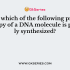 In E.coli, which enzyme synthesizes the RNA primer for Okazaki fragments?