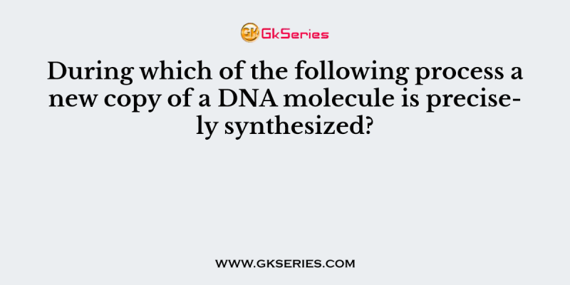 During which of the following process a new copy of a DNA molecule is precisely synthesized?