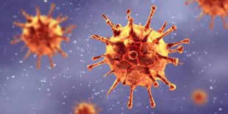 Easing of essential goods imports to help fight Covid-19 pandemic