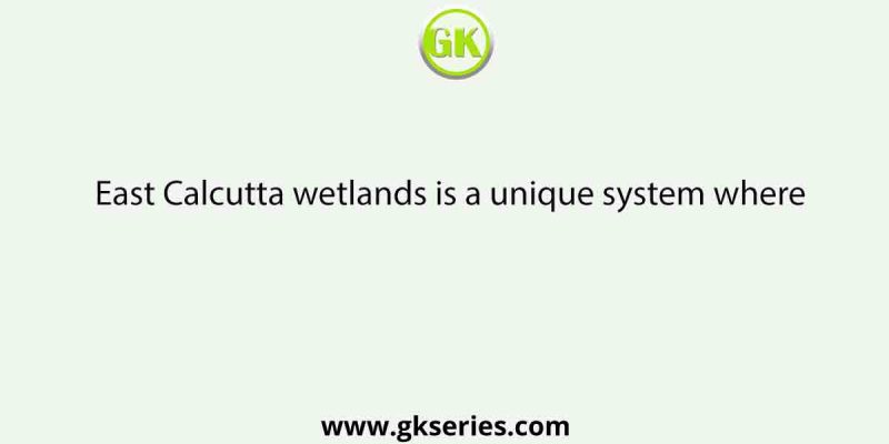 East Calcutta wetlands is a unique system where