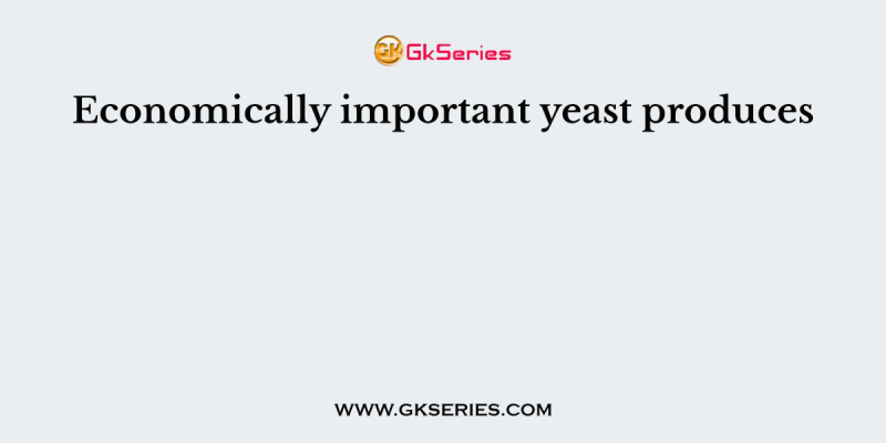 Economically important yeast produces