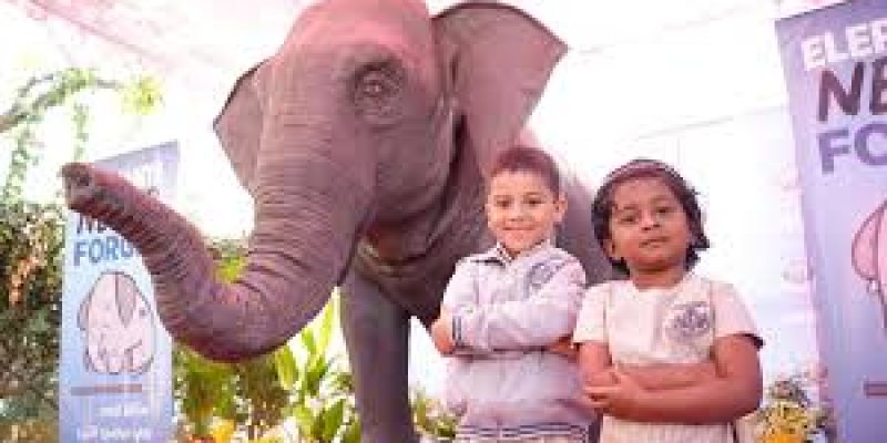 Ellie | Asia’s First Animatronic Elephant Debuts in Bengaluru