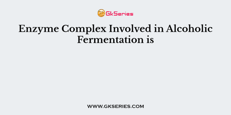 Enzyme Complex Involved in Alcoholic Fermentation is
