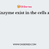 An enzyme brings about
