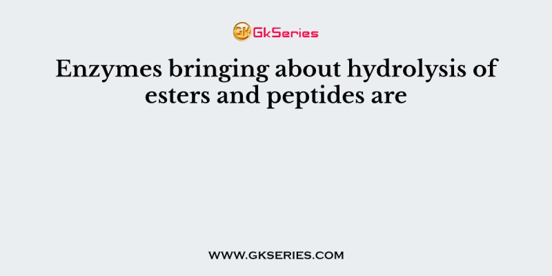 Enzymes bringing about hydrolysis of esters and peptides are