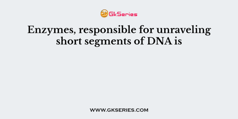 Enzymes, responsible for unraveling short segments of DNA is