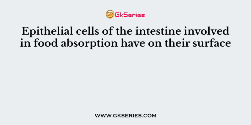 Epithelial cells of the intestine involved in food absorption have on their surface