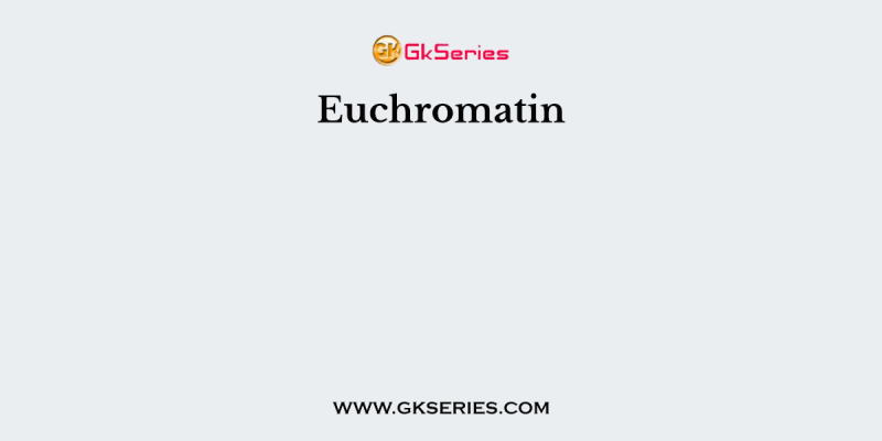 Euchromatin