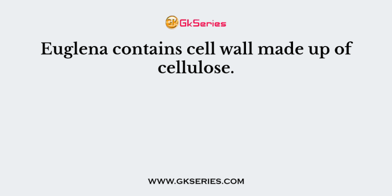 Euglena contains cell wall made up of cellulose.