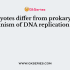 DNA replication is