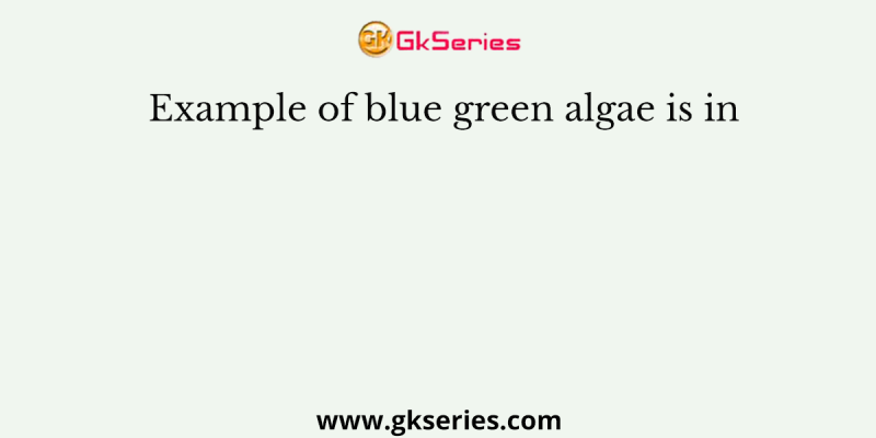 Example of blue green algae is in