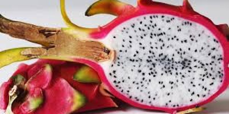 Exotic dragon fruit from Maharashtra exported to Dubai