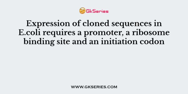 Expression of cloned sequences in E.coli requires a promoter, a ribosome binding site and an initiation codon
