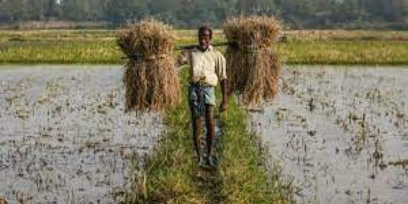 FCI needs to be saved to protect Farmers interests