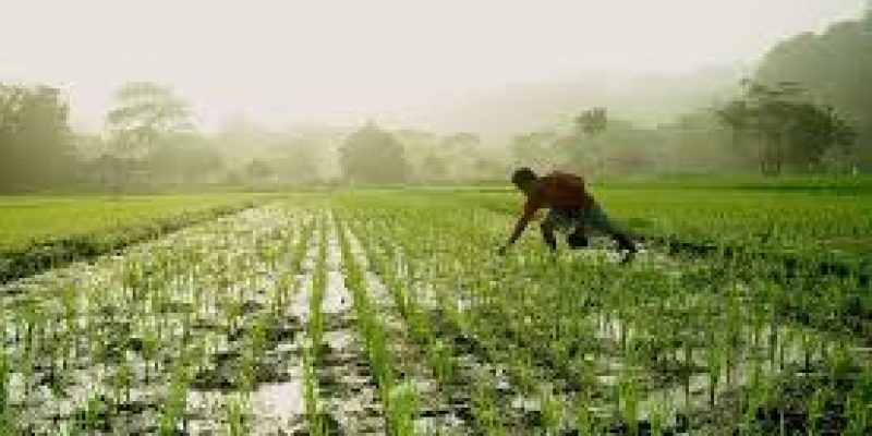 Farmers Producer Organizations to be formed across the country