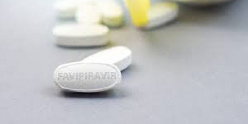 Favipiravir drug shows promise against Chandipura virus in preclinical studies by NIV