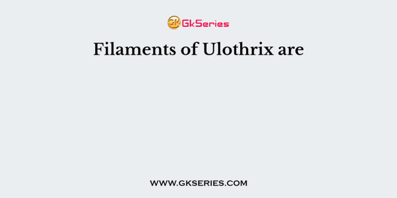 Filaments of Ulothrix are