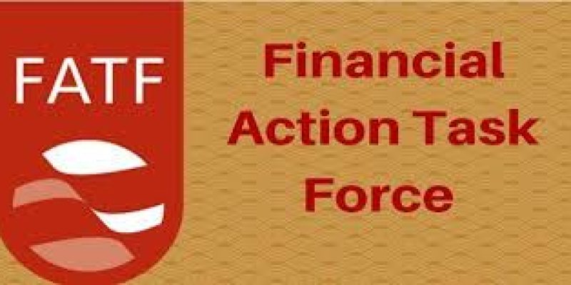 FATF released its first global report on the illegal wildlife trade