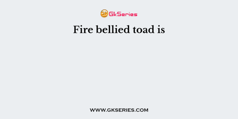 Fire bellied toad is