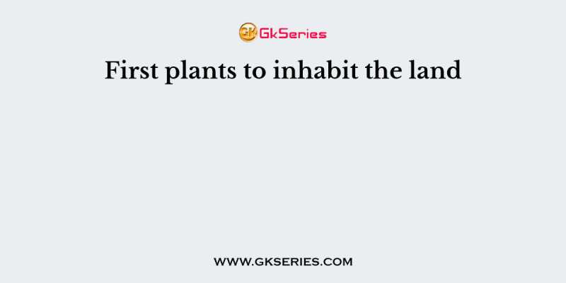 First plants to inhabit the land