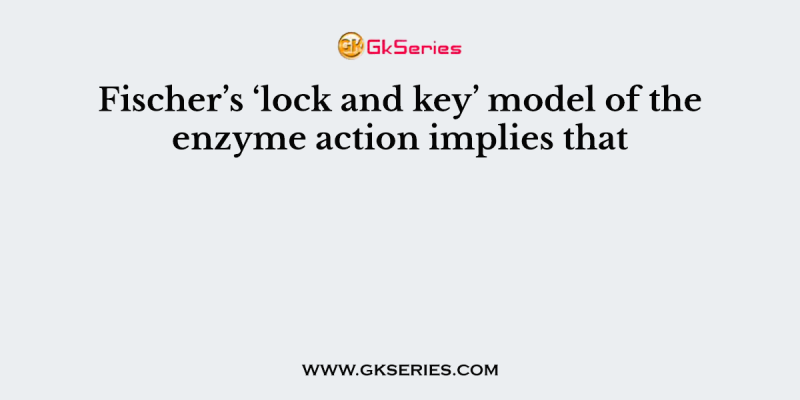 Fischer’s ‘lock and key’ model of the enzyme action implies that