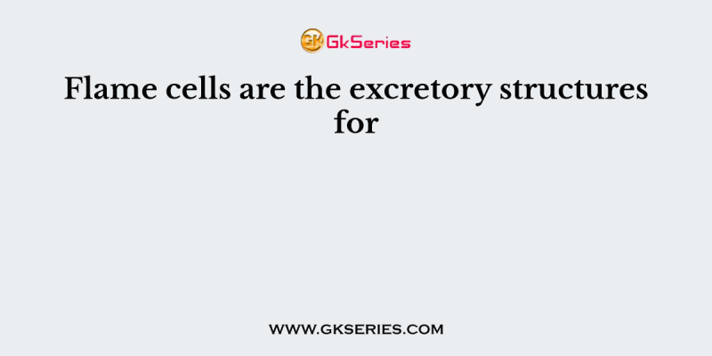 Flame cells are the excretory structures for