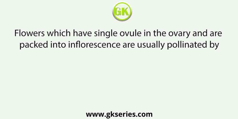 Flowers which have single ovule in the ovary and are packed into inflorescence are usually pollinated by