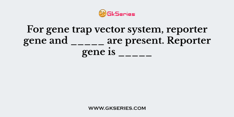 For gene trap vector system, reporter gene and _____ are present. Reporter gene is _____