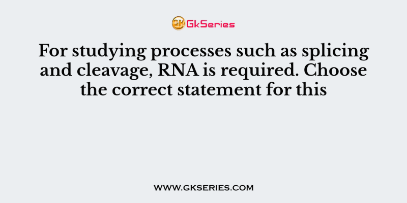 For studying processes such as splicing and cleavage, RNA is required. Choose the correct statement for this