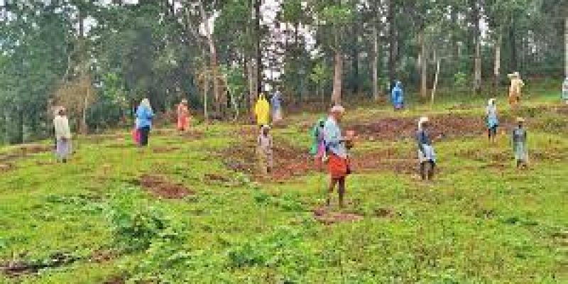 Forest department launched Project ‘Vanikaran’ in Kerala