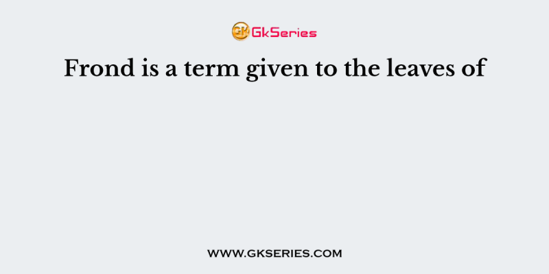 Frond is a term given to the leaves of