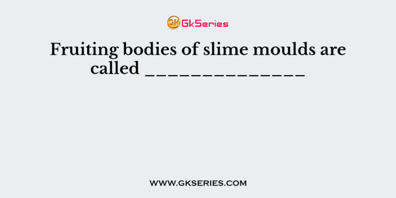 Fruiting bodies of slime moulds are called ______________