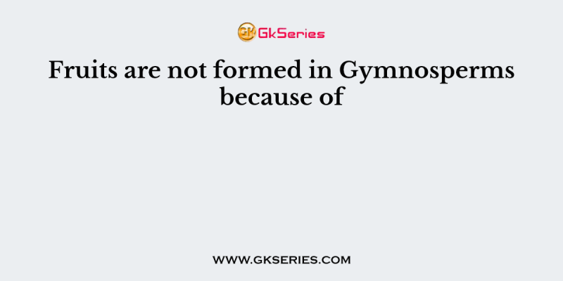 Fruits are not formed in Gymnosperms because of