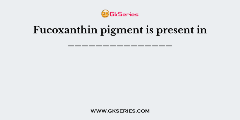 Fucoxanthin pigment is present in _______________