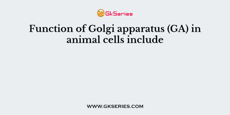 Function of Golgi apparatus (GA) in animal cells include