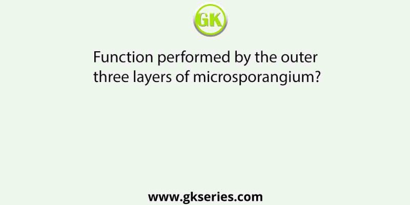 Function performed by the outer three layers of microsporangium?