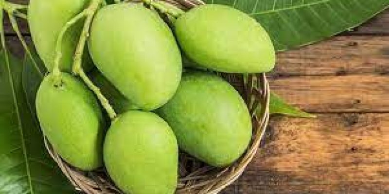 GI certified Fazil mango shipped to Bahrain