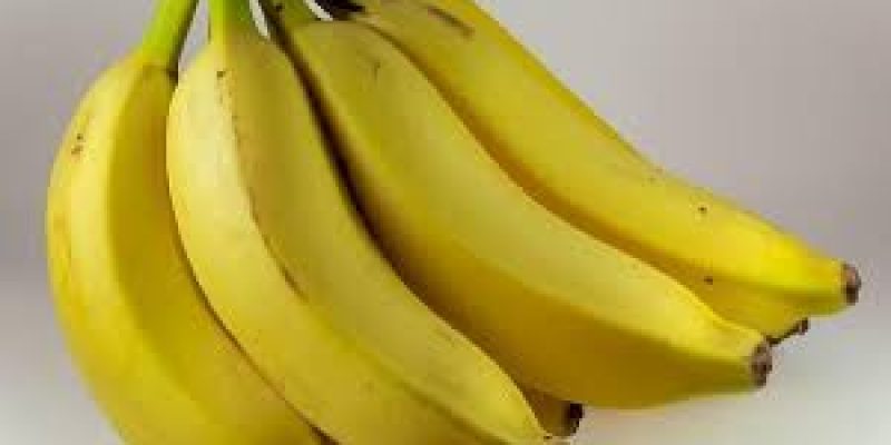 GI certified Jalgaon banana has been exported to Dubai