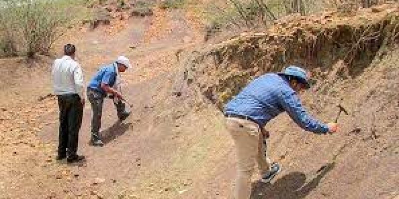 GSI added more features to its mobile app