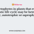 Which among the following life cycle is exhibited by Polysiphonia?