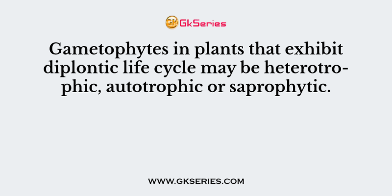 Gametophytes in plants that exhibit diplontic life cycle may be heterotrophic, autotrophic or saprophytic.