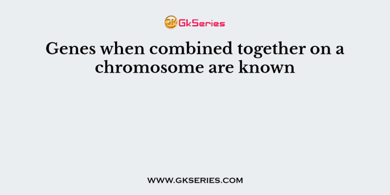 Genes when combined together on a chromosome are known