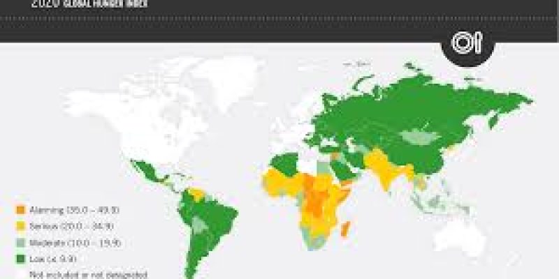 Global Hunger Index 2020