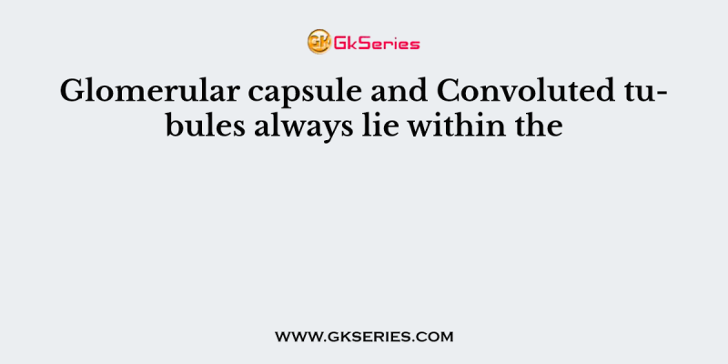 Glomerular capsule and Convoluted tubules always lie within the