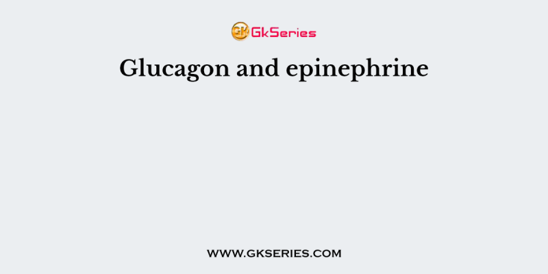 Glucagon and epinephrine